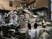 narodni muzeum praag 7-2023 9029